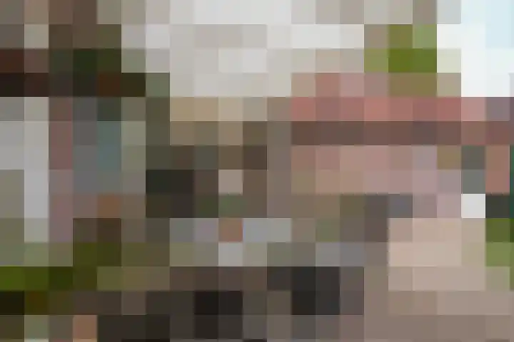 Ceintuurstraat 29 Landgraaf thumbnail 24