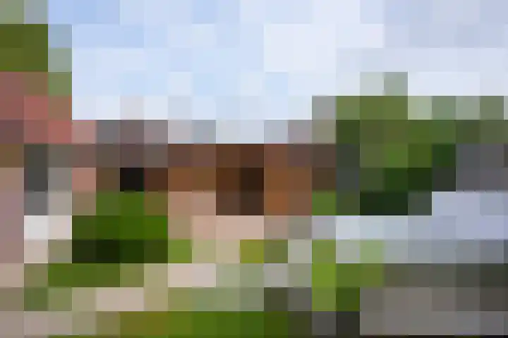 Ceintuurstraat 29 Landgraaf thumbnail 28