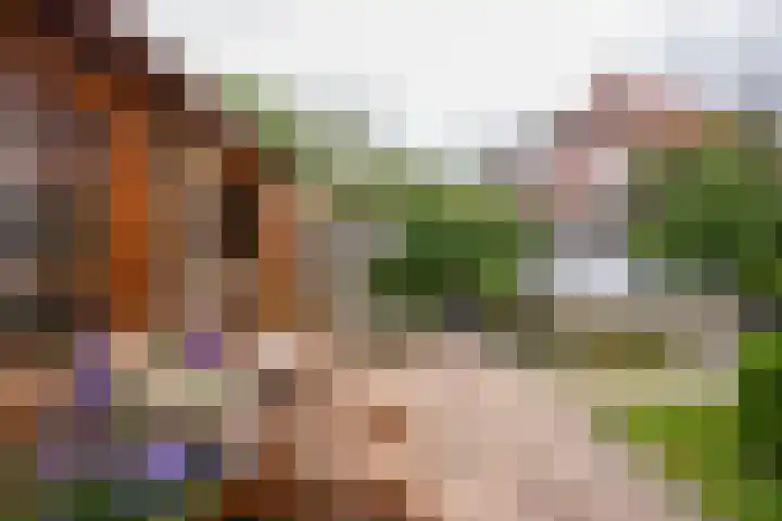 Ceintuurstraat 29 Landgraaf thumbnail 32