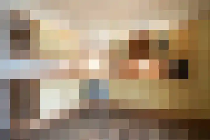 Ceintuurstraat 29 Landgraaf thumbnail 6