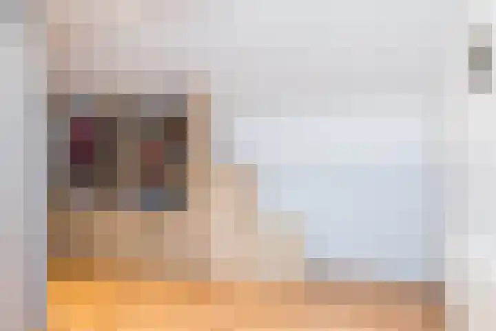 Ceintuurstraat 50 Landgraaf thumbnail 26