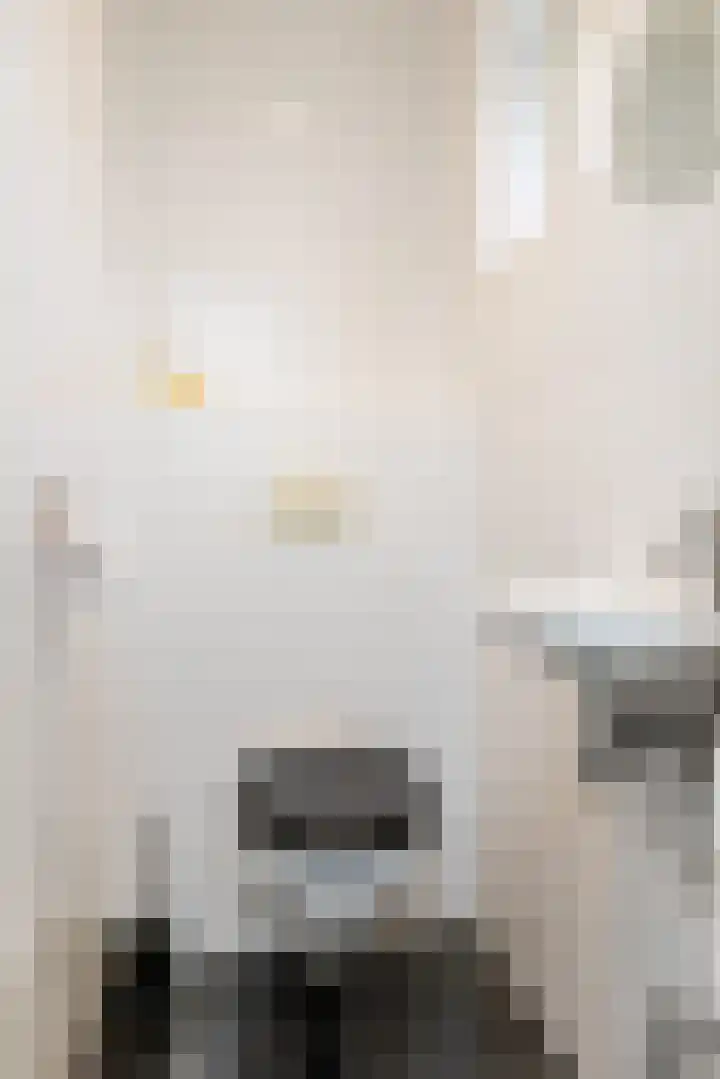 Ceintuurstraat 50 Landgraaf thumbnail 7