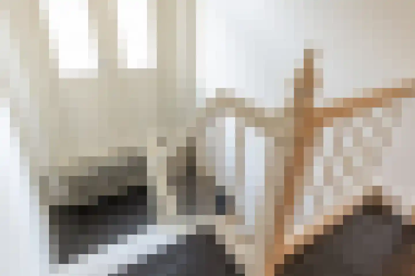 Celebeslaan 1 Apeldoorn thumbnail 22