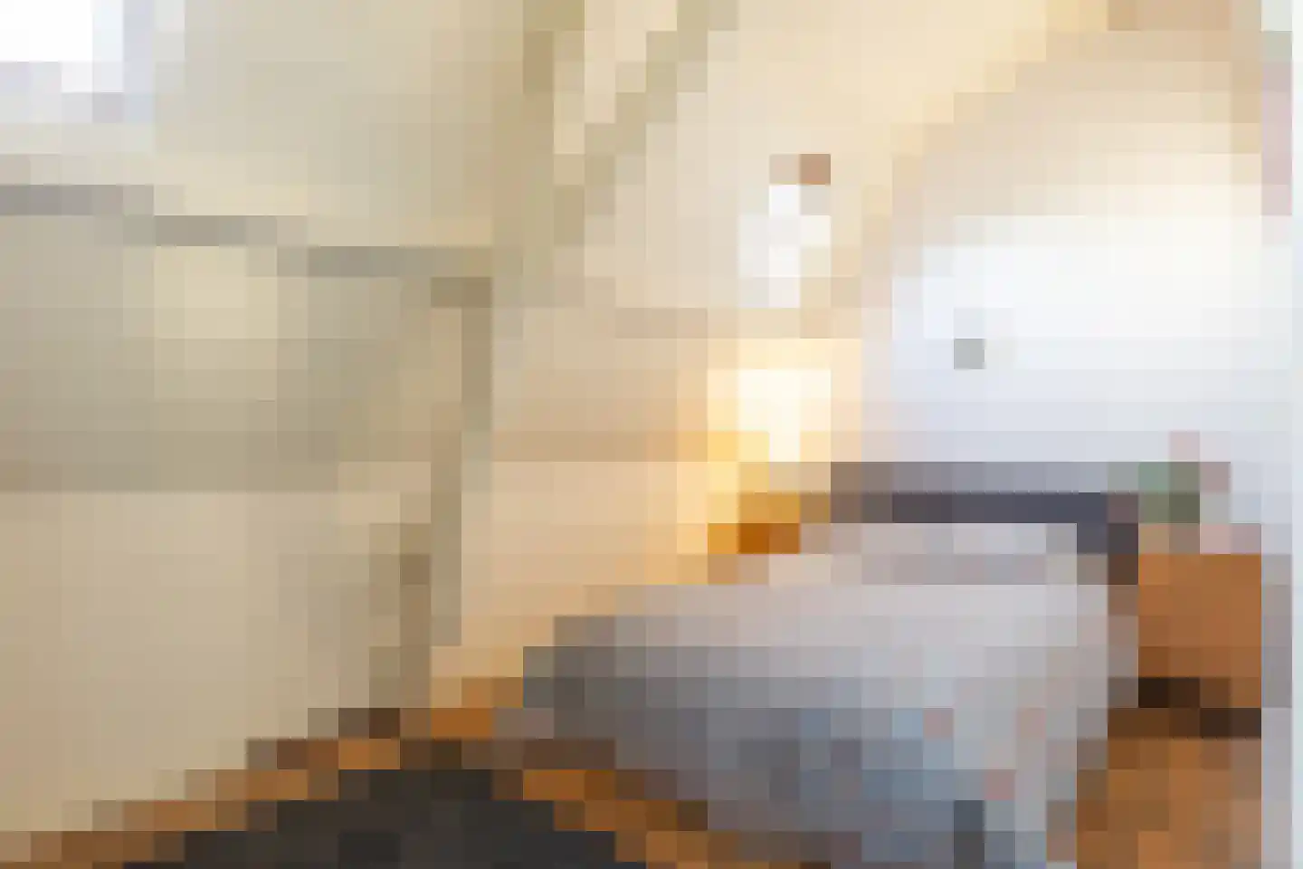 Celebeslaan 1 Apeldoorn thumbnail 32