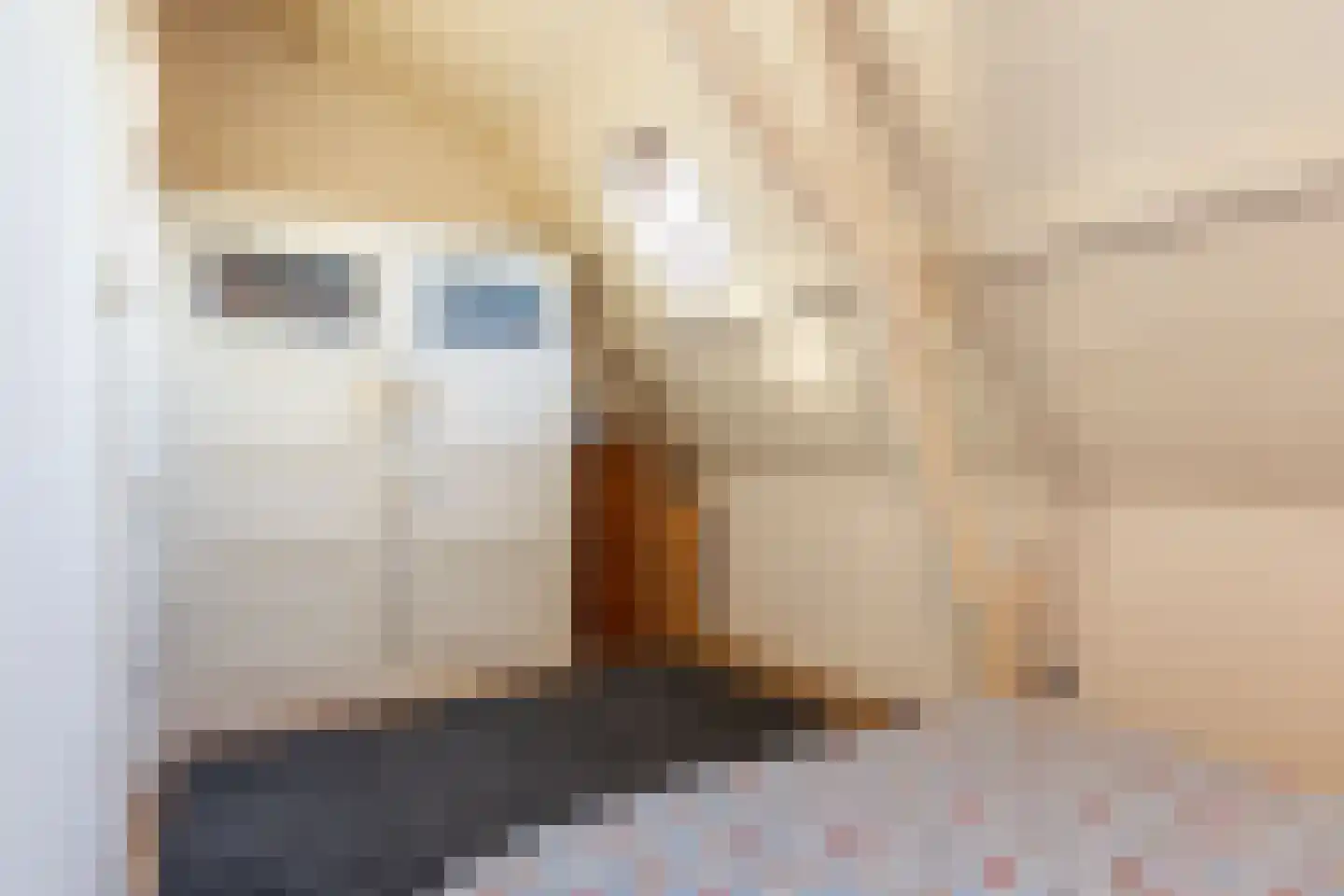 Celebeslaan 1 Apeldoorn thumbnail 33