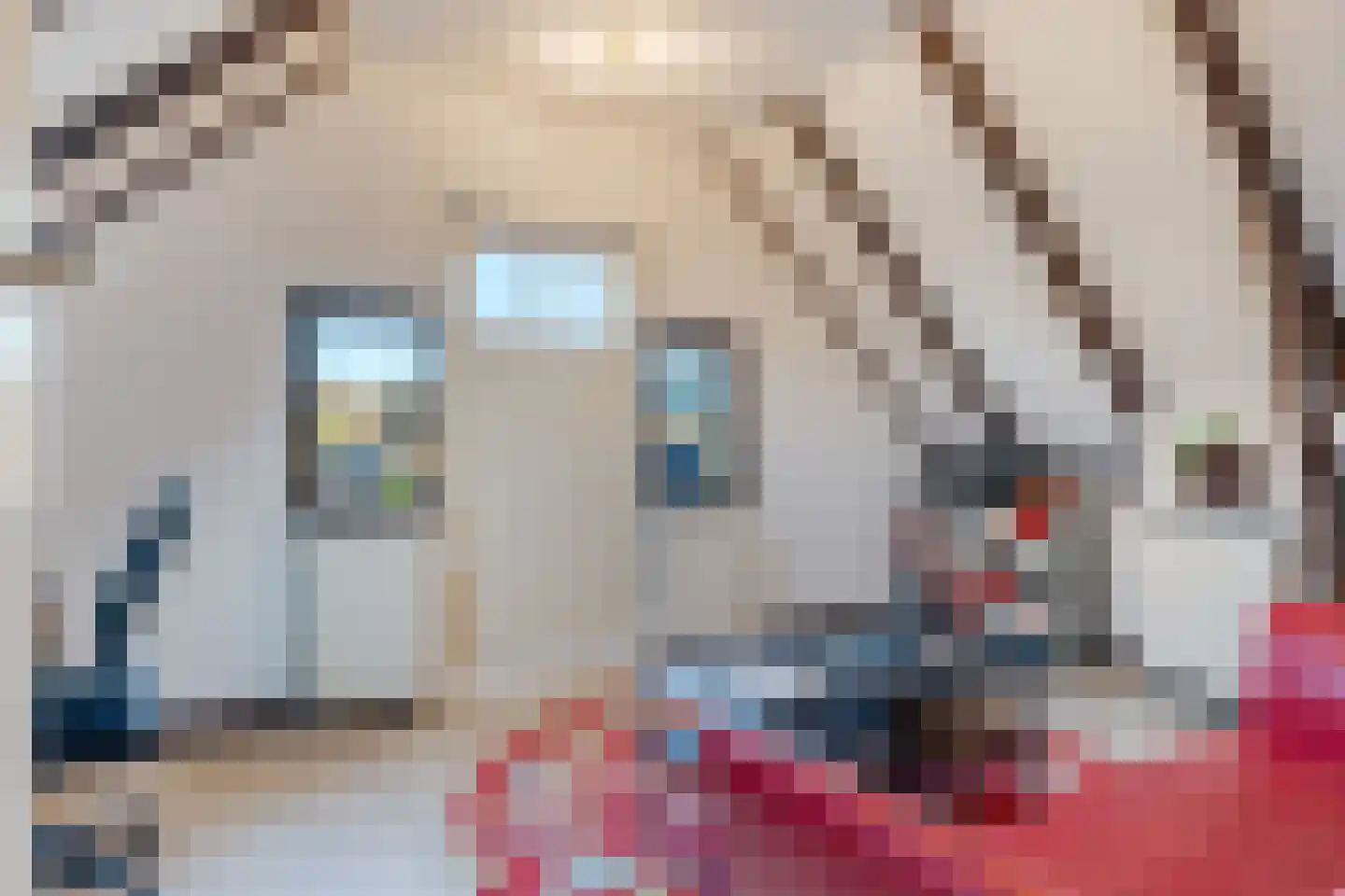 Celebeslaan 1 Apeldoorn thumbnail 45
