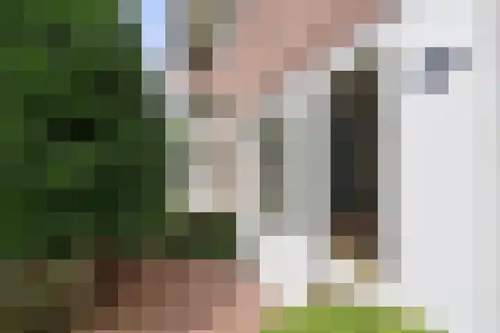 Celebeslaan 14 Hilversum thumbnail 22