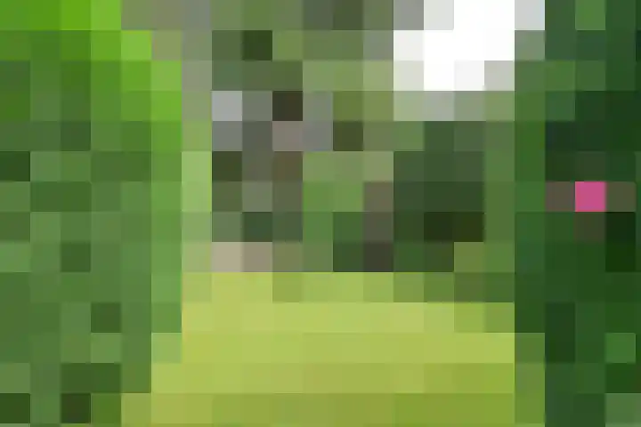 Celebeslaan 14 Hilversum thumbnail 4