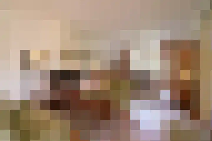 Celebeslaan 14 Hilversum thumbnail 5