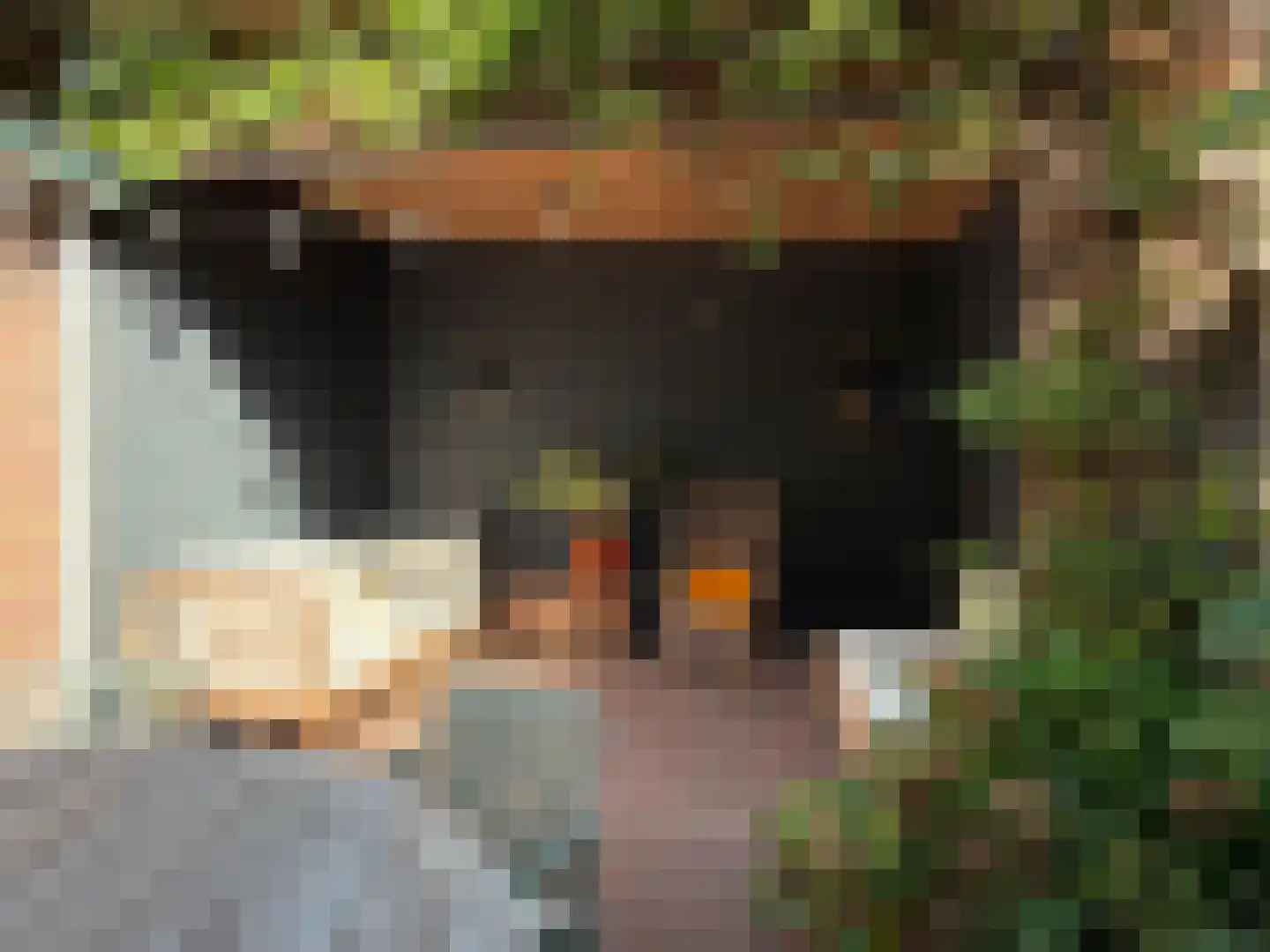 Celebeslaan 16 Hilversum thumbnail 22