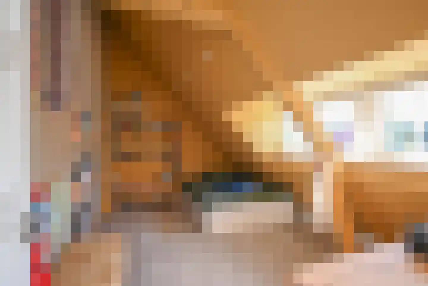 Celebeslaan 16 Hilversum thumbnail 35