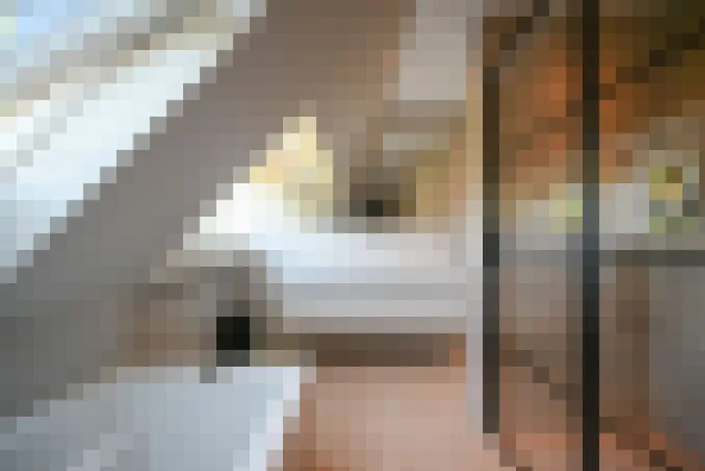 Celebeslaan 16 Hilversum thumbnail 43