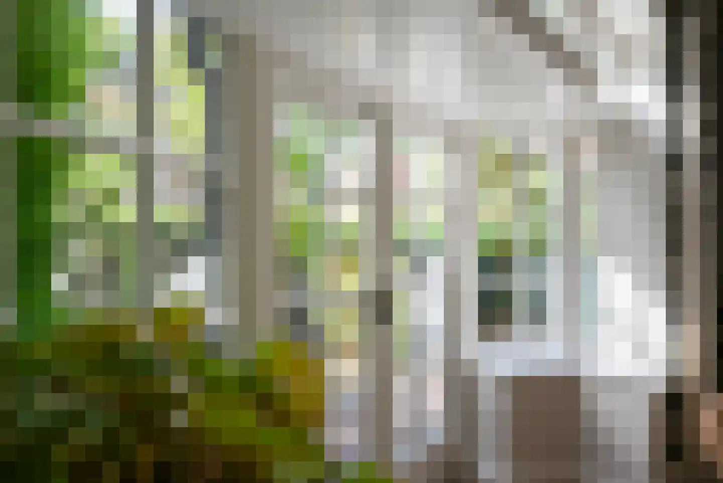 Celebeslaan 16 Hilversum thumbnail 9