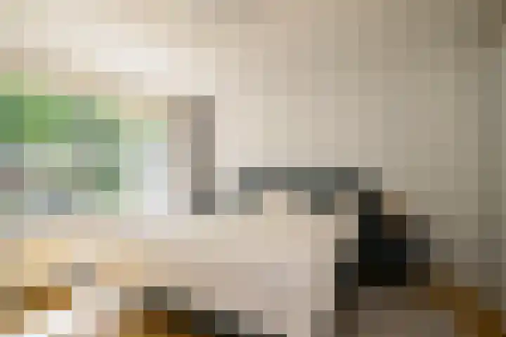 Celebeslaan 22 Hilversum thumbnail 12