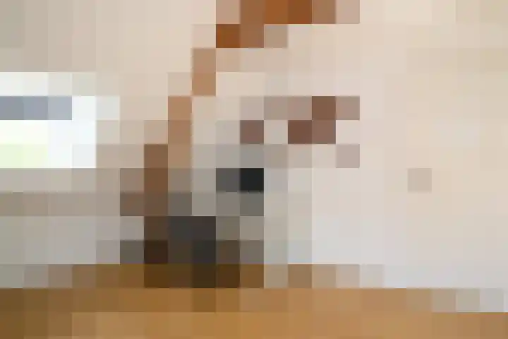 Celebeslaan 22 Hilversum thumbnail 22