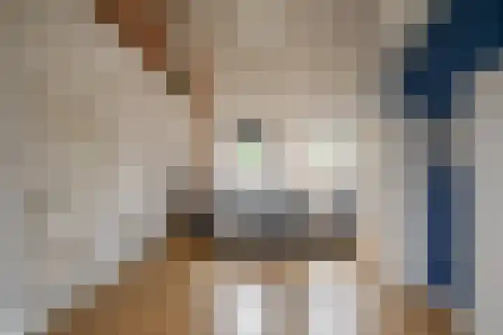 Celebeslaan 22 Hilversum thumbnail 23