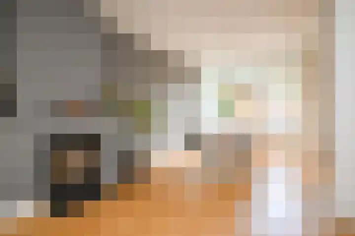 Celebeslaan 22 Hilversum thumbnail 4