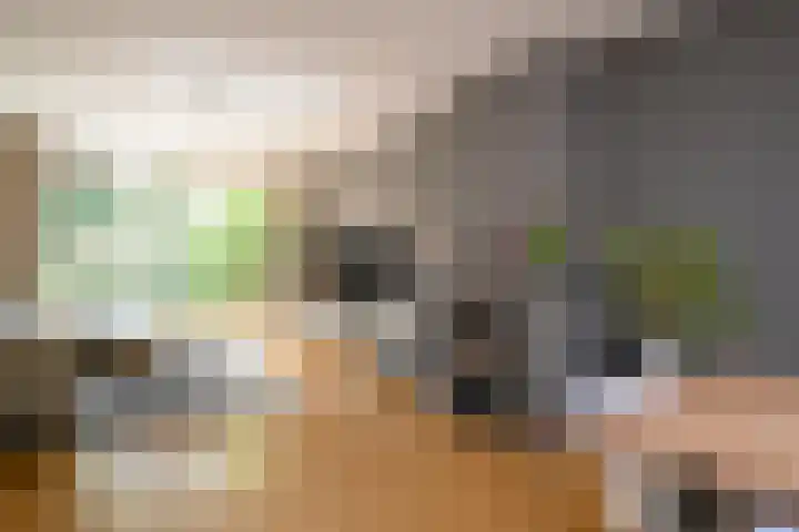 Celebeslaan 22 Hilversum thumbnail 5
