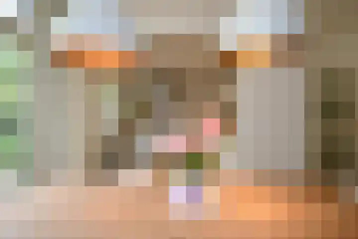 Celebeslaan 22 Hilversum thumbnail 6