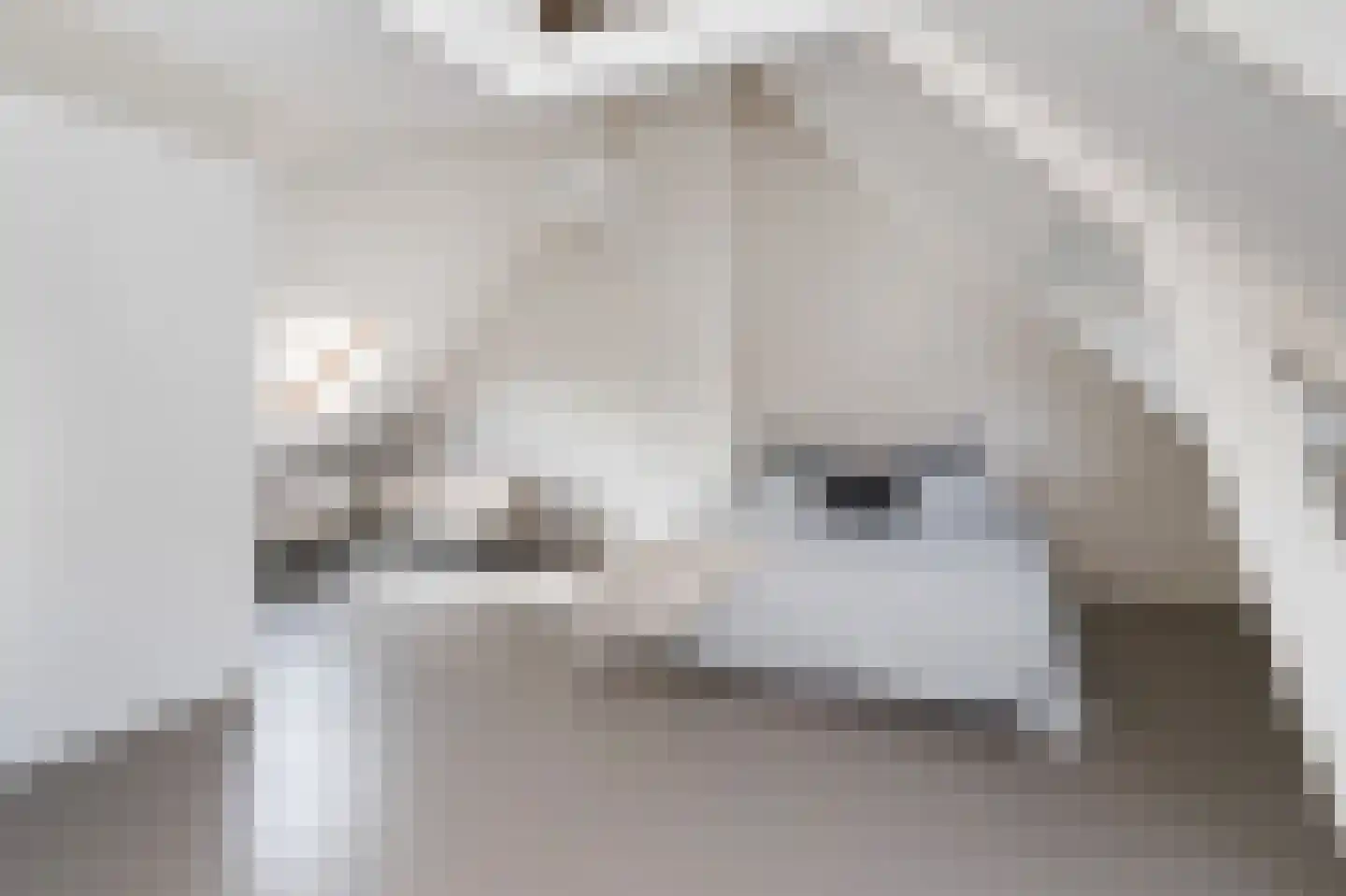 Celebeslaan 24 Hilversum thumbnail 23