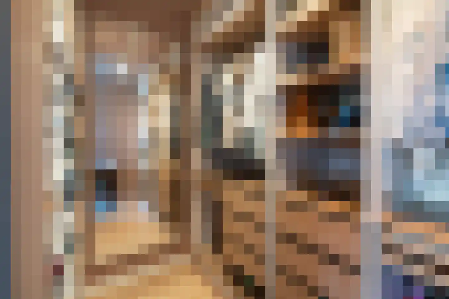 Celebesstraat 1 A B Dordrecht thumbnail 39