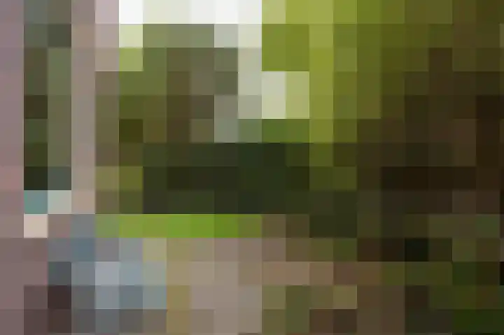 Celebesstraat 1 Groningen thumbnail 27