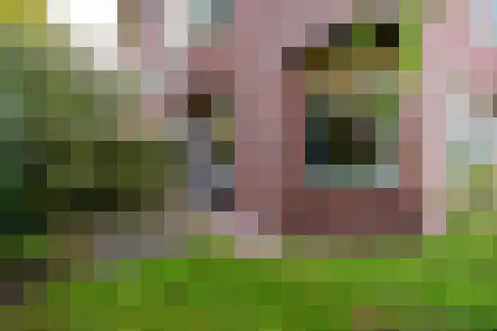 Celebesstraat 1 Groningen thumbnail 29