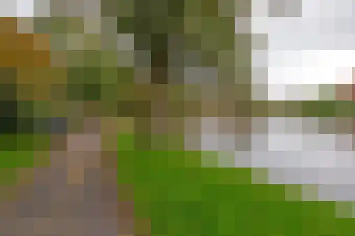 Celebesstraat 1 Groningen thumbnail 33
