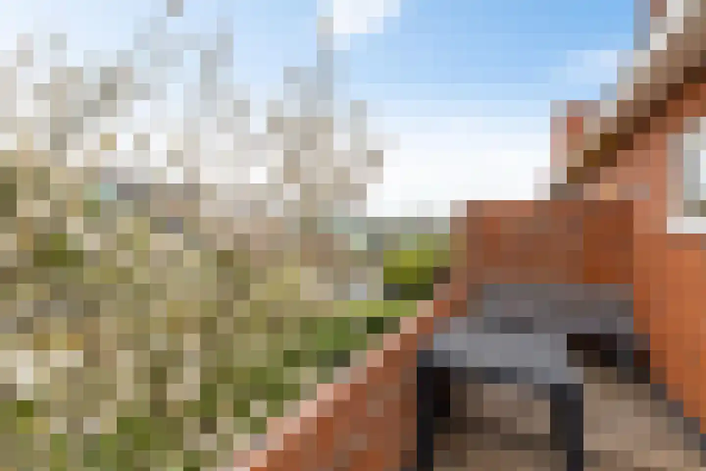 Celebesstraat 10 a Groningen thumbnail 27