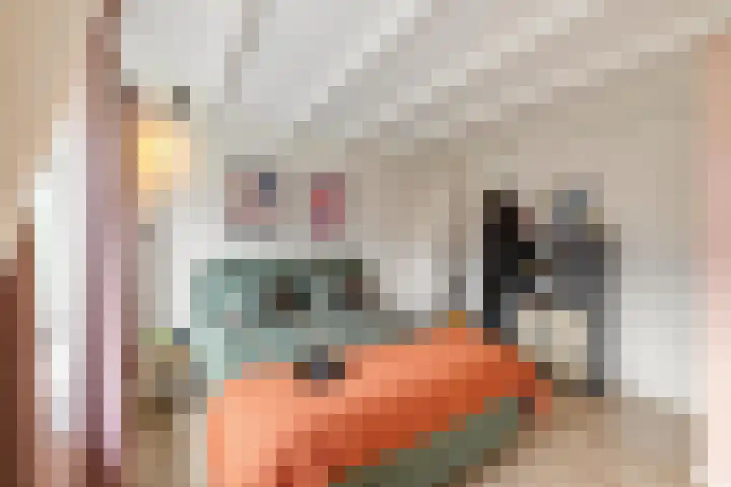 Celebesstraat 10 a Groningen thumbnail 32