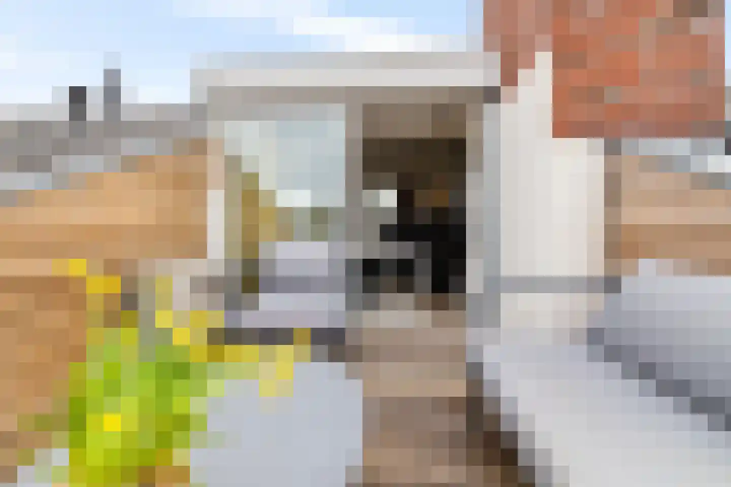 Celebesstraat 10 a Groningen thumbnail 37