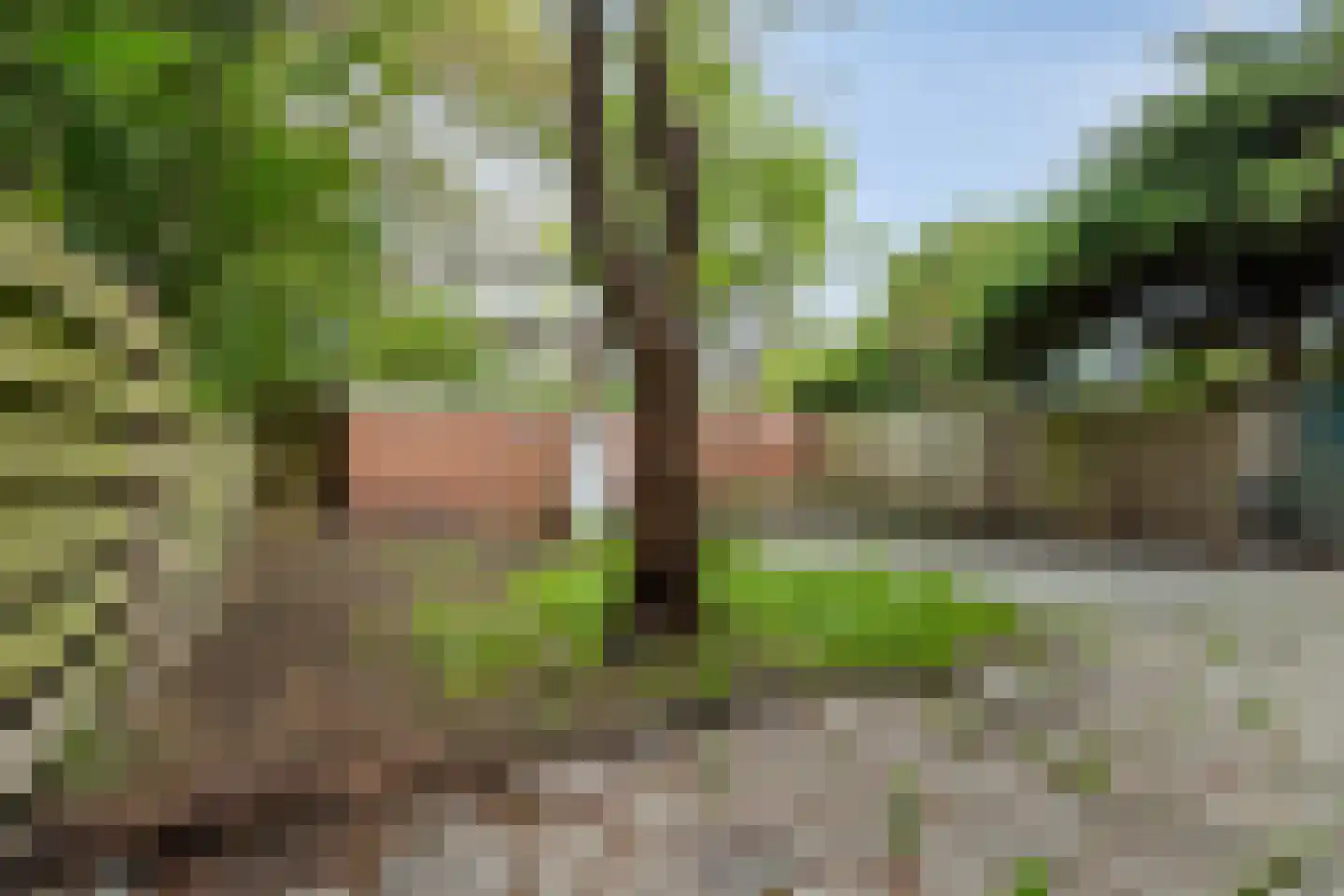 Celebesstraat 10 Groningen thumbnail 31
