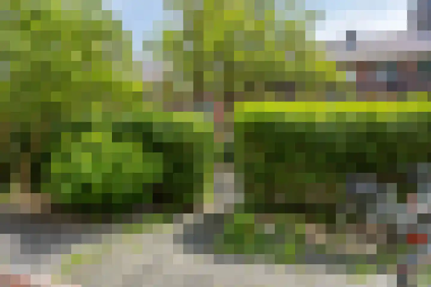 Celebesstraat 10 Groningen thumbnail 34