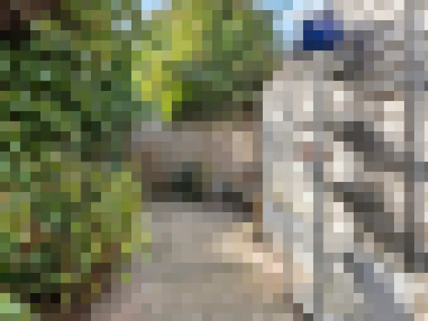 Celebesstraat 10 Utrecht thumbnail 16