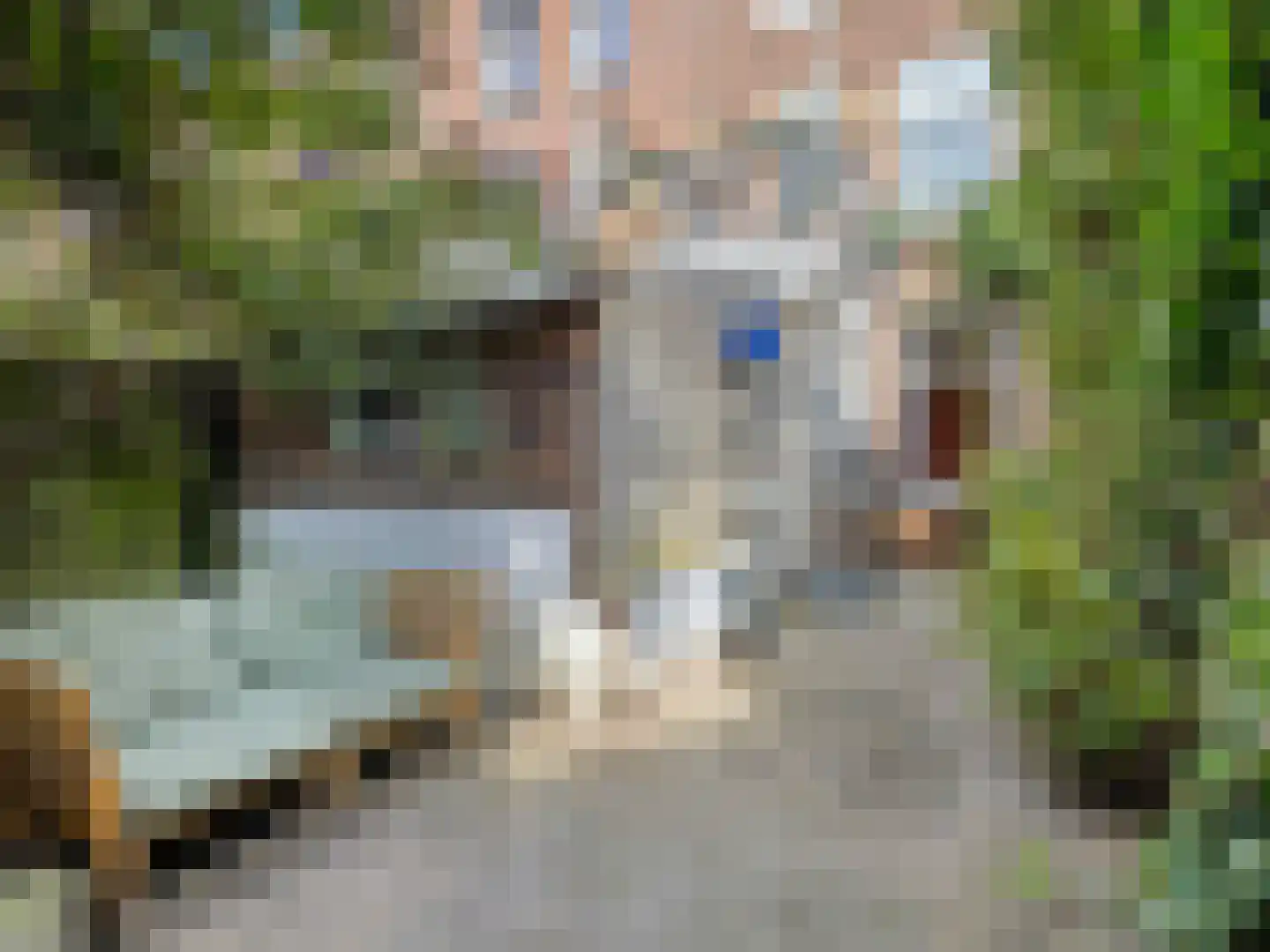 Celebesstraat 10 Utrecht thumbnail 4