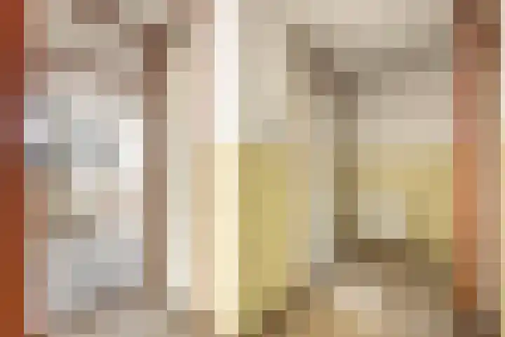 Celebesstraat 102 E Amsterdam thumbnail 9