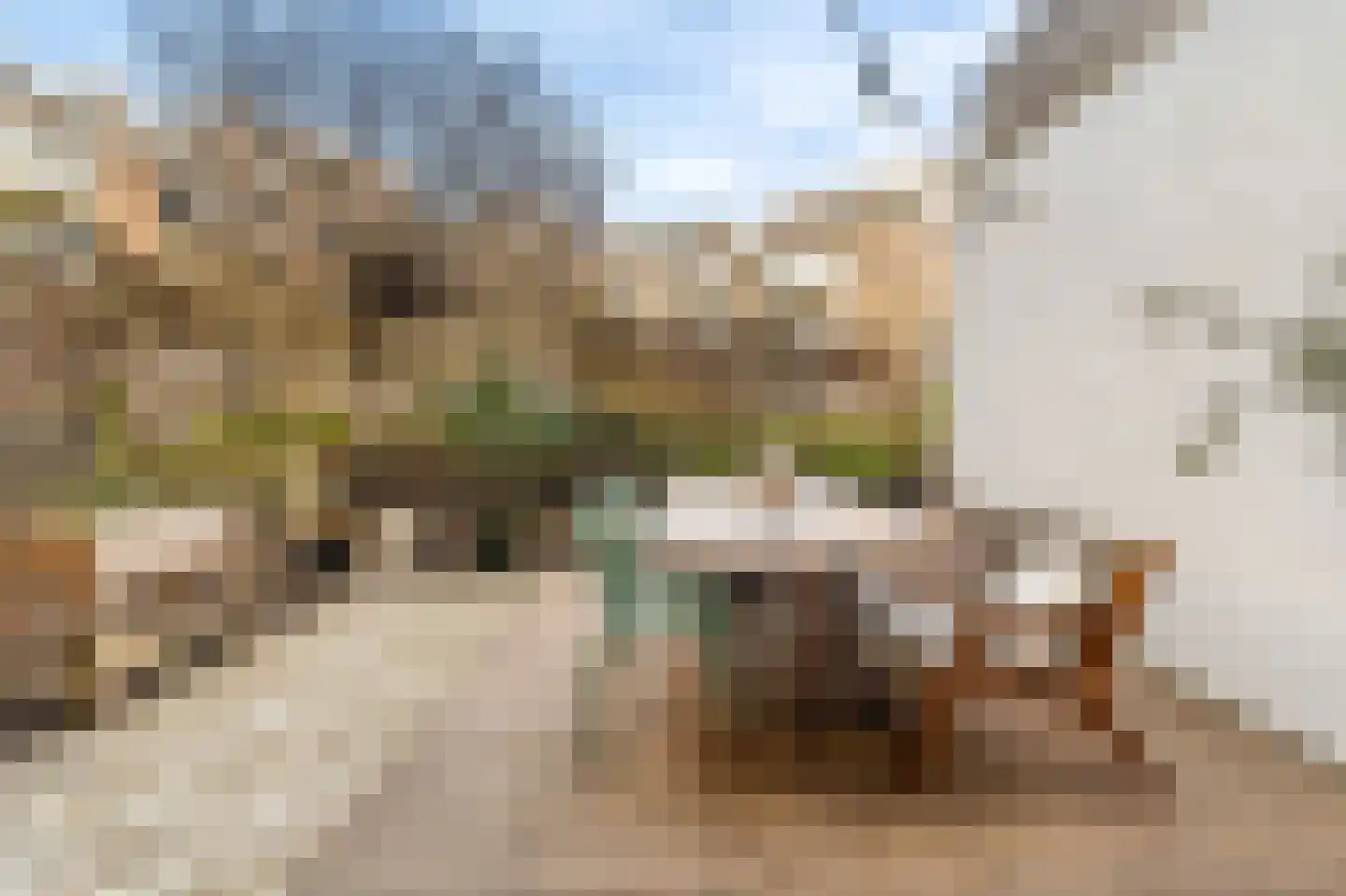 Celebesstraat 104 Amsterdam thumbnail 13