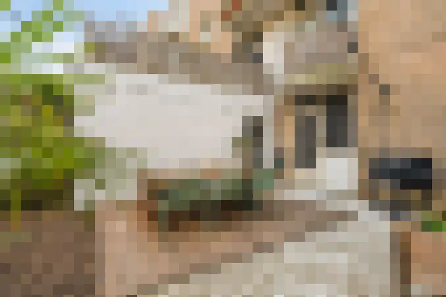 Celebesstraat 104 Amsterdam thumbnail 15