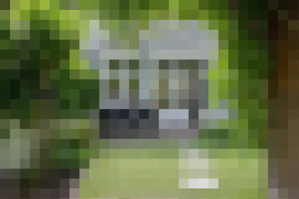 Celebesstraat 11 Den Haag thumbnail 19