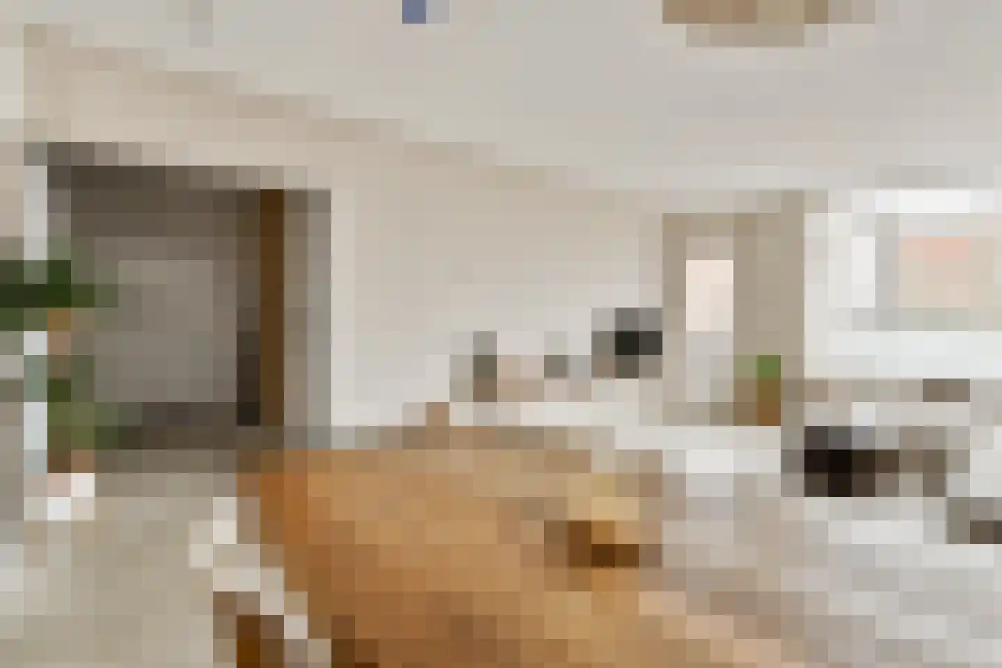 Celebesstraat 112 B Amsterdam thumbnail 6