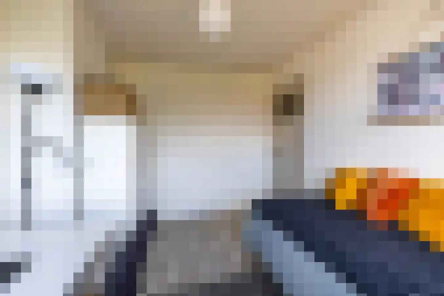 Celebesstraat 12 b Groningen thumbnail 26