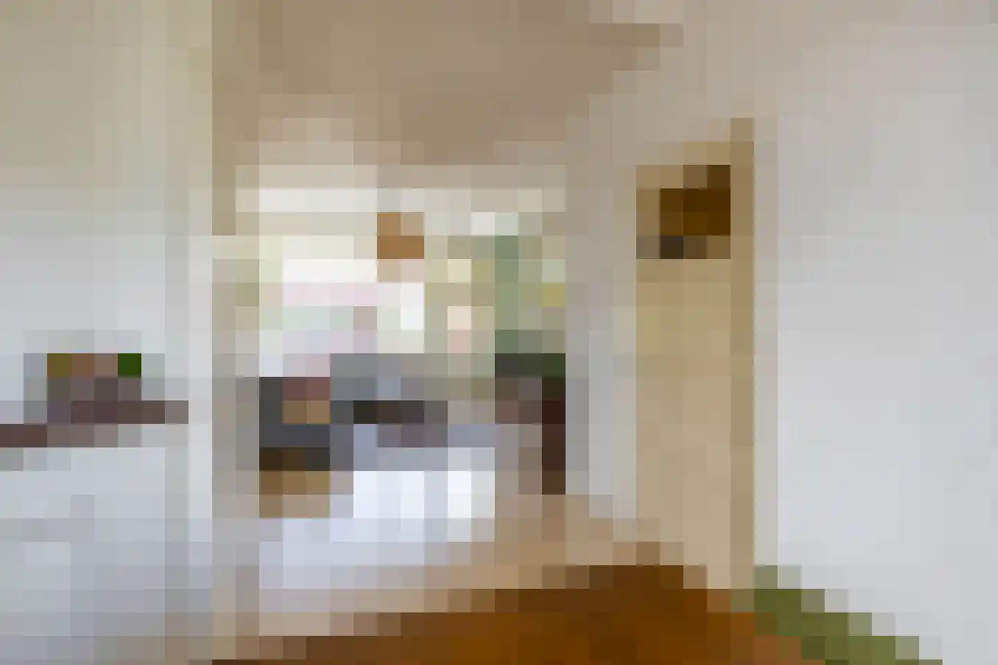 Celebesstraat 12 b Groningen thumbnail 8
