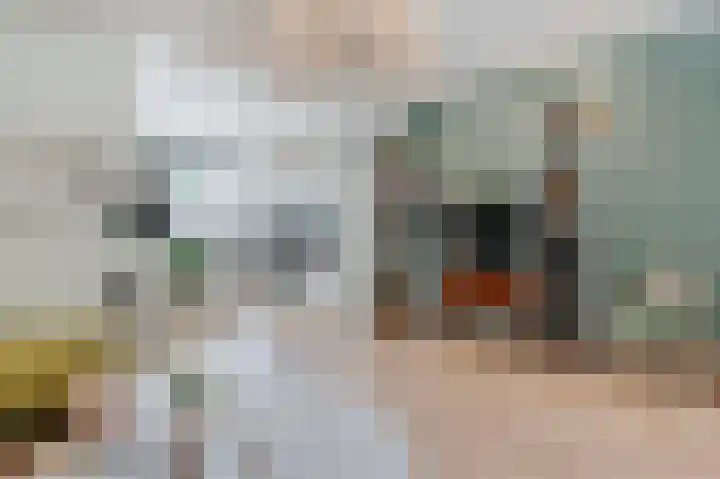 Celebesstraat 13 Zwolle thumbnail 10
