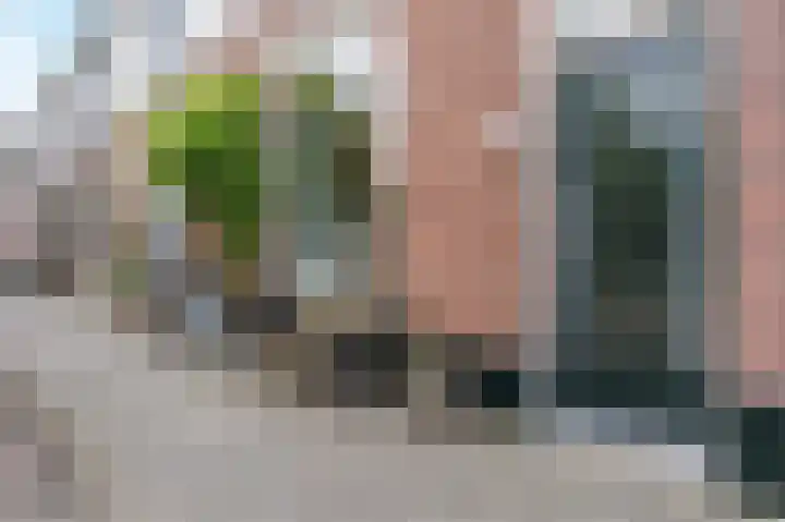 Celebesstraat 13 Zwolle thumbnail 4