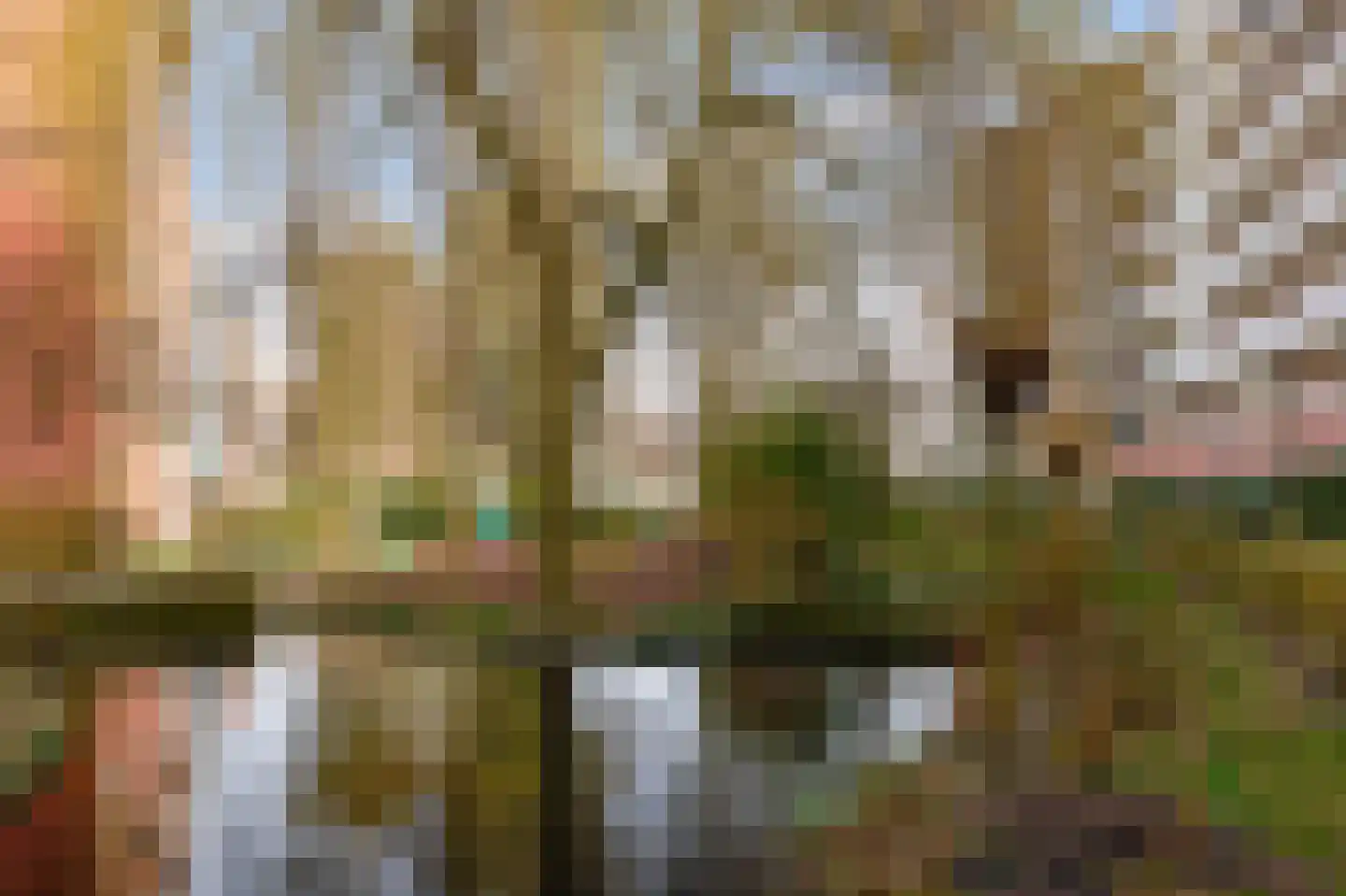 Celebesstraat 141 Amsterdam thumbnail 29
