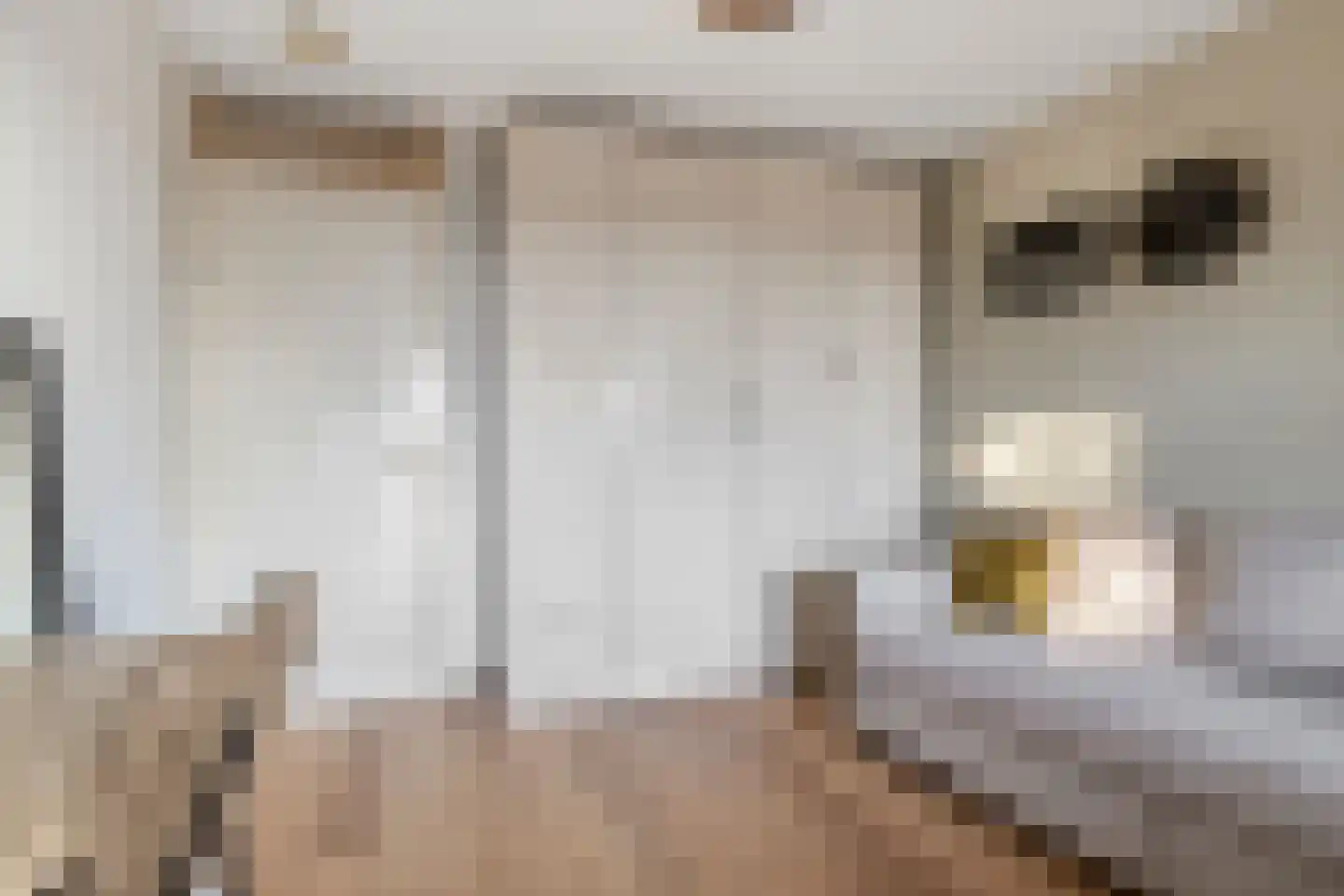 Celebesstraat 155 Amsterdam thumbnail 20
