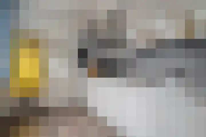 Celebesstraat 16 Zwolle thumbnail 10