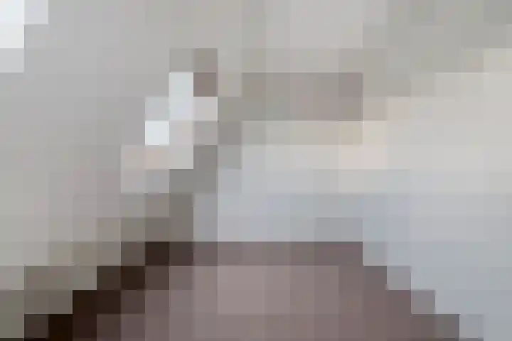Celebesstraat 16 Zwolle thumbnail 26