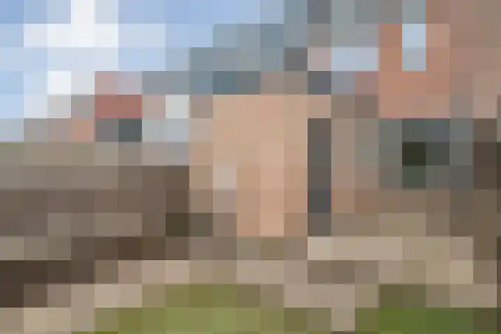 Celebesstraat 16 Zwolle thumbnail 28