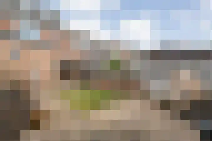 Celebesstraat 16 Zwolle thumbnail 29